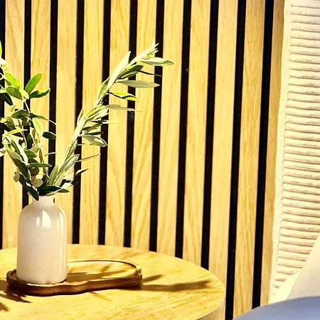 Komfort-studio In Oberwinter Bei Bonn - Mit Playstation 4 Apartment