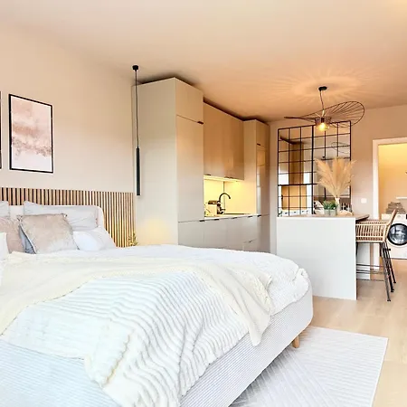 Komfort-studio In Oberwinter Bei Bonn - Mit Playstation 4 * Remagen