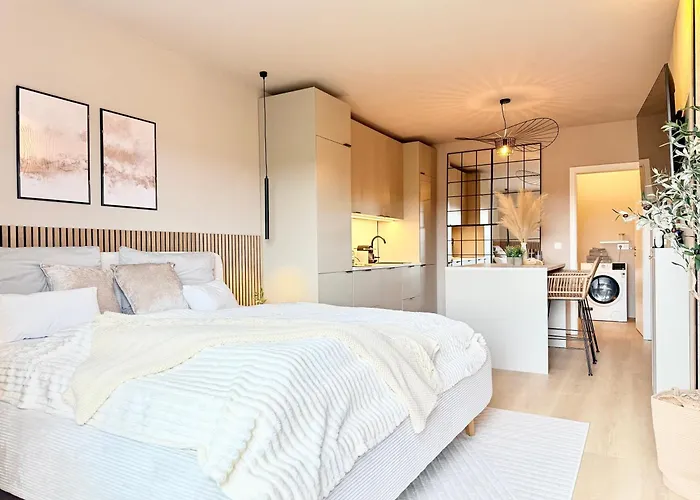 Komfort-studio In Oberwinter Bei Bonn - Mit Playstation 4 * 雷马根